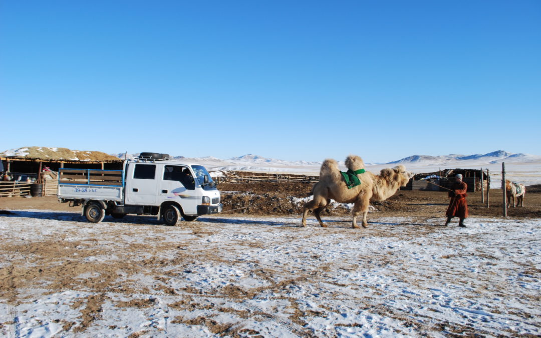 Colloque – Terrains mongols en perspective : problématiques croisées, enjeux contemporains – 19-20 novembre 2021